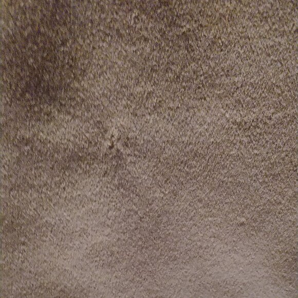 Cinzia Rocca Taupe Shawl-Collar Wool Maxi Coat - Picture 14 of 15